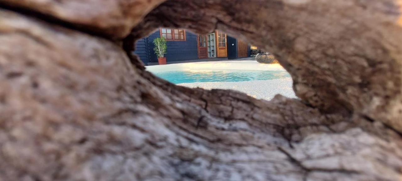 Villa Los Guirres タサコルテ エクステリア 写真